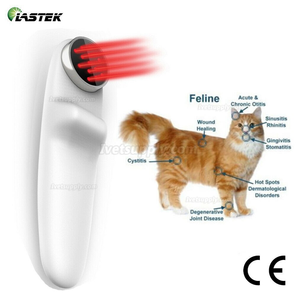 Veterinary Use Animals Clinic Pets Dogs Cats Horses 808nm Laser Therapy Device